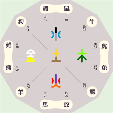 芳五行|芳字的五行属性